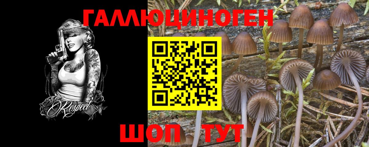 Псилоцибиновые грибы MAGIC MUSHROOMS Приморско-Ахтарск