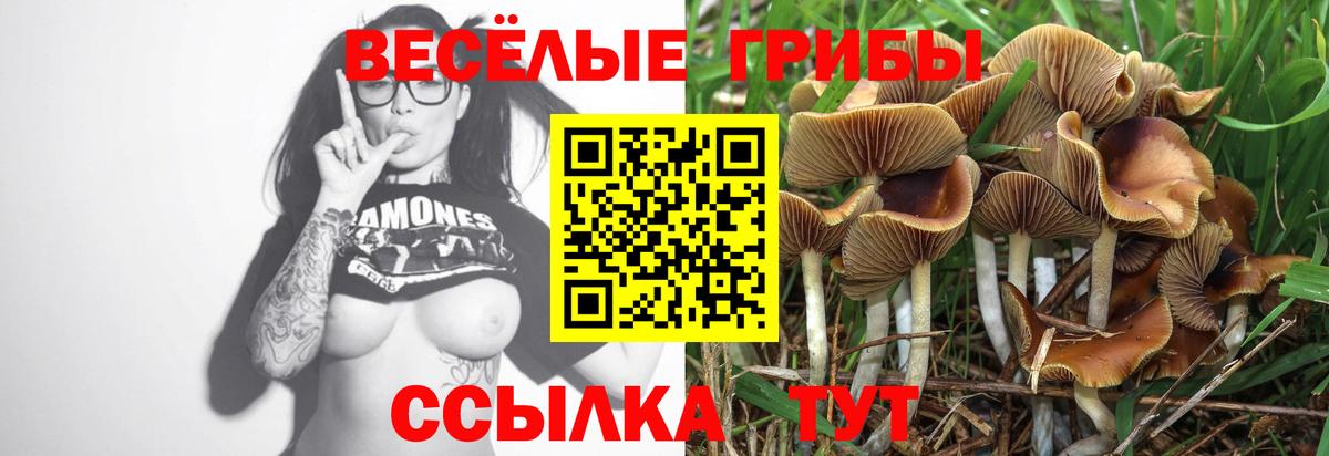Галлюциногенные грибы Magic Shrooms  Галлюциногенные грибы Psilocybine cubensis  Приморско-Ахтарск  Вход с VPN 